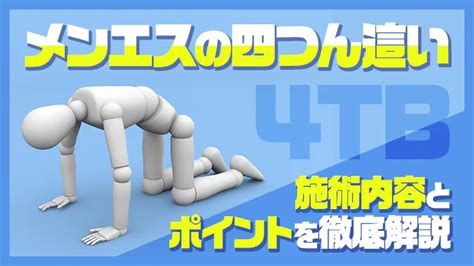 男 四つん這い|メンエスの4tbってなに？四つん這いのポーズの施術方法を解説。